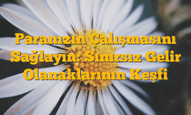 Paranızın Çalışmasını Sağlayın: Sınırsız Gelir Olanaklarının Keşfi