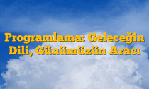 Programlama: Geleceğin Dili, Günümüzün Aracı