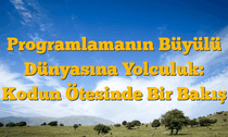 Programlamanın Büyülü Dünyasına Yolculuk: Kodun Ötesinde Bir Bakış