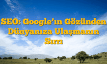 SEO: Google’ın Gözünden Dünyanıza Ulaşmanın Sırrı