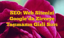 SEO: Web Sitenizi Google’da Zirveye Taşımanın Gizli Sırrı