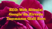 SEO: Web Sitenizi Googleâ€™da Zirveye Taşımanın Gizli Sırrı