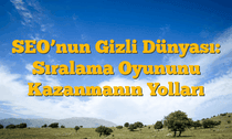 SEOâ€™nun Gizli Dünyası: Sıralama Oyununu Kazanmanın Yolları