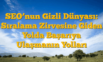 SEOâ€™nun Gizli Dünyası: Sıralama Zirvesine Giden Yolda Başarıya Ulaşmanın Yolları