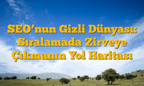 SEO’nun Gizli Dünyası: Sıralamada Zirveye Çıkmanın Yol Haritası