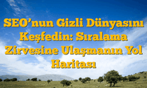 SEOâ€™nun Gizli Dünyasını Keşfedin: Sıralama Zirvesine Ulaşmanın Yol Haritası