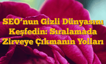 SEO’nun Gizli Dünyasını Keşfedin: Sıralamada Zirveye Çıkmanın Yolları