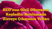 SEOâ€™nun Gizli Dünyasını Keşfedin: Sıralamada Zirveye Çıkmanın Yolları