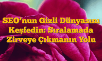 SEO’nun Gizli Dünyasını Keşfedin: Sıralamada Zirveye Çıkmanın Yolu