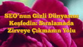 SEOâ€™nun Gizli Dünyasını Keşfedin: Sıralamada Zirveye Çıkmanın Yolu
