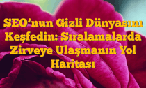 SEO’nun Gizli Dünyasını Keşfedin: Sıralamalarda Zirveye Ulaşmanın Yol Haritası