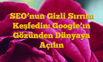 SEOâ€™nun Gizli Sırrını Keşfedin: Googleâ€™ın Gözünden Dünyaya Açılın