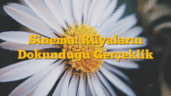 Sinema: Rüyaların Dokunduğu Gerçeklik