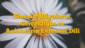 Sinema: Rüyaların, Gerçekliğin ve Anlatıların Evrensel Dili