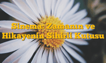 Sinema: Zamanın ve Hikayenin Sihirli Kutusu