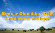 Sınırsız Olanaklar: Gelir Kapılarınızı Aralayın