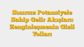 Sınırsız Potansiyele Sahip Gelir Akışları: Zenginleşmenin Gizli Yolları