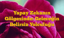 Yapay Zekanın Gölgesinde: Geleceğin Belirsiz Yolculuğu
