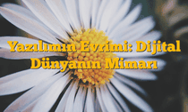Yazılımın Evrimi: Dijital Dünyanın Mimarı