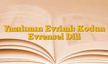 Yazılımın Evrimi: Kodun Evrensel Dili