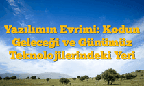 Yazılımın Evrimi: Kodun Geleceği ve Günümüz Teknolojilerindeki Yeri