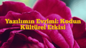 Yazılımın Evrimi: Kodun Kültürel Etkisi