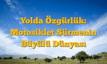 Yolda Özgürlük: Motosiklet Sürmenin Büyülü Dünyası