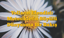Yolların Efendisi: Motosikletin Büyülü Dünyasına Bir Bakış