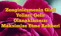 Zenginleşmenin Gizli Yolları: Gelir Olanaklarınızı Maksimize Etme Rehberi