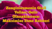 Zenginleşmenin Gizli Yolları: Gelir Olanaklarınızı Maksimize Etme Rehberi