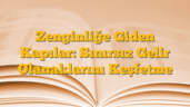 Zenginliğe Giden Kapılar: Sınırsız Gelir Olanaklarını Keşfetme
