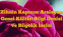 Zihnin Kapısını Aralayan Genel Kültür: Bilgi Denizi ve Bilgelik İncisi