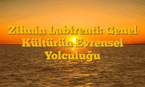 Zihnin Labirenti: Genel Kültürün Evrensel Yolculuğu