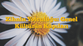 Zihnin Yolculuğu: Genel Kültürün Kapıları