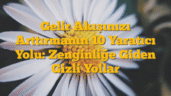 Gelir Akışınızı Arttırmanın 10 Yaratıcı Yolu:  Zenginliğe Giden Gizli Yollar