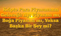 Kripto Para Piyasasının Geleceği: Ayı Piyasası mı, Boğa Piyasası mı, Yoksa Başka Bir Şey mi?