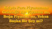 Kripto Para Piyasasının Geleceği: Ayı Piyasası mı, Boğa Piyasası mı, Yoksa Başka Bir Şey mi?