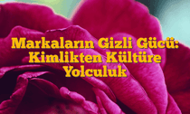 Markaların Gizli Gücü: Kimlikten Kültüre Yolculuk