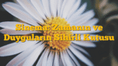 Sinema: Zamanın ve Duyguların Sihirli Kutusu