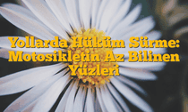 Yollarda Hüküm Sürme: Motosikletin Az Bilinen Yüzleri