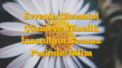 Evrenin Gizemini Çözmeye Yönelik İnsanlığın Sonsuz Peşinde: Bilim