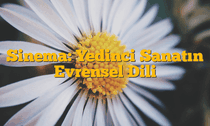 Sinema: Yedinci Sanatın Evrensel Dili