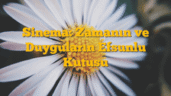 Sinema: Zamanın ve Duyguların Efsunlu Kutusu