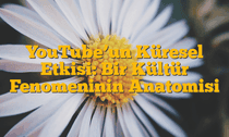 YouTubeâ€™un Küresel Etkisi: Bir Kültür Fenomeninin Anatomisi