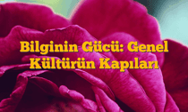 Bilginin Gücü: Genel Kültürün Kapıları