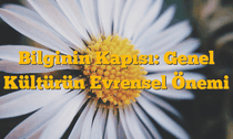 Bilginin Kapısı: Genel Kültürün Evrensel Önemi