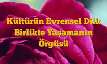 Kültürün Evrensel Dili: Birlikte Yaşamanın Örgüsü