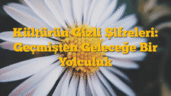 Kültürün Gizli Şifreleri: Geçmişten Geleceğe Bir Yolculuk