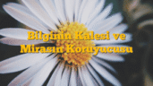 Bilginin Kalesi ve Mirasın Koruyucusu
