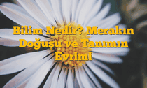 Bilim Nedir? Merakın Doğuşu ve Tanımın Evrimi